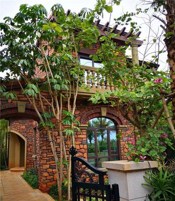 美国EB-1C移民 办理美国EB-1C移民有什么要求