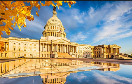 1677467900339741.png image.png