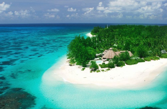 几内亚比绍 几内亚比绍绿卡