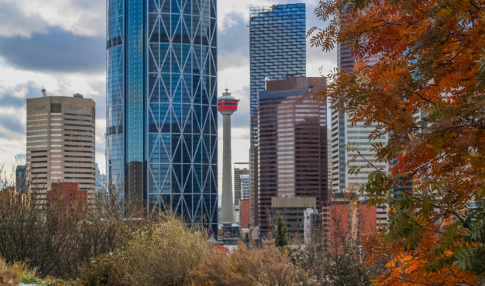 加拿大临时访问签证 访问签证