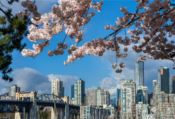 加拿大绿卡的作用会是什么 加拿大绿卡