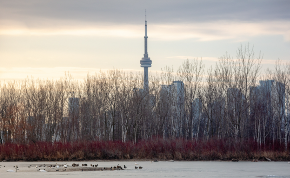申请加拿大枫叶卡的条件有哪些？