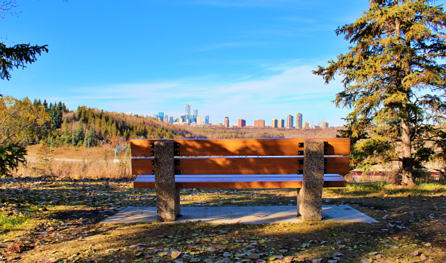 加拿大移民项目认识 移民