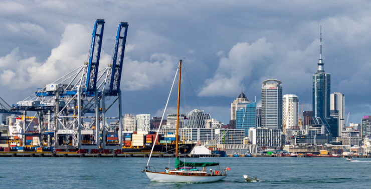 父母团聚移民担保 移民担保人