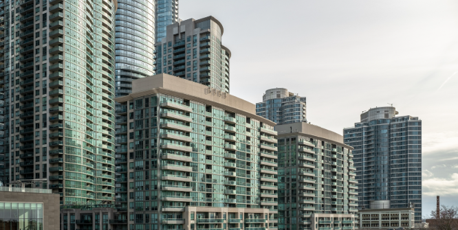 新移民“性价比之王”? 新移民性价比之王