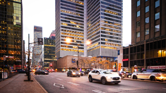 加拿大境内生子 境内生子获得国籍