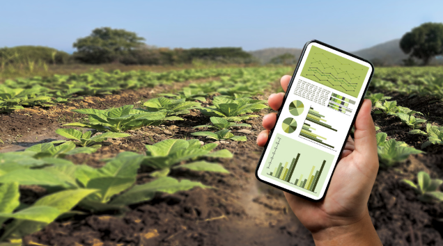 EB-1A杰出人才移民适合哪些领域的人申请？十大领域全面解析