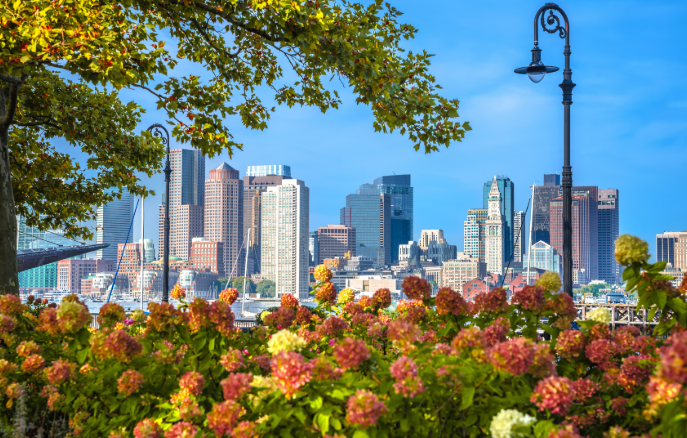 1765422984586072.png image.png