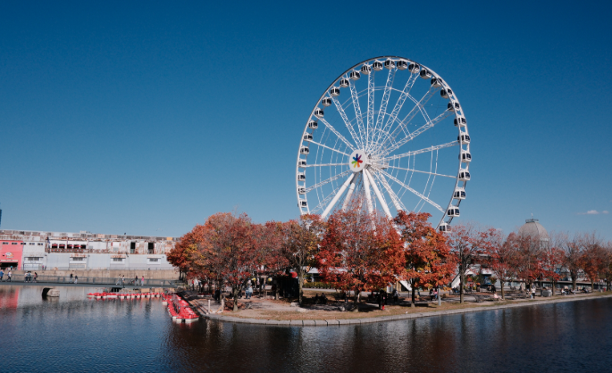 加拿大移民监管 加拿大工作移民风险