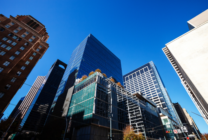 公共负担最新政策 I-944表格