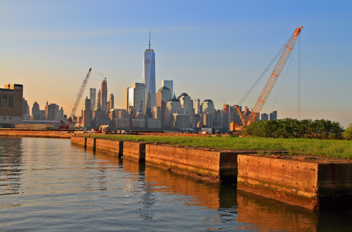 绿卡申请公共负担 I-944表格